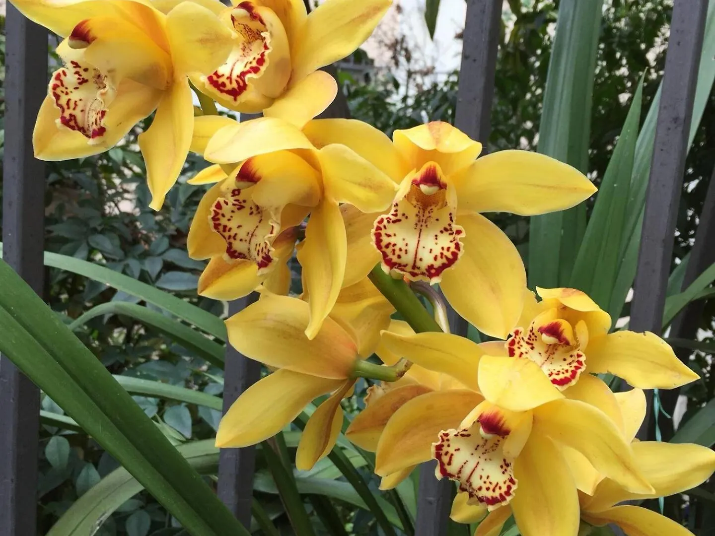 Luxury House With Private Garden Villa Rome Holiday home